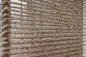 Home blinds before professional cleaning